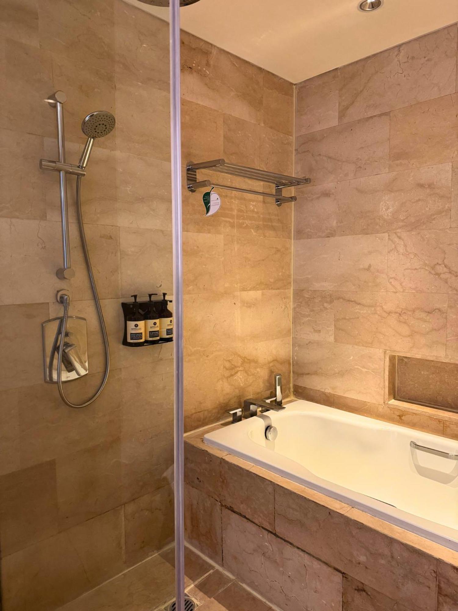 Deluxe One-Bedroom Apartment