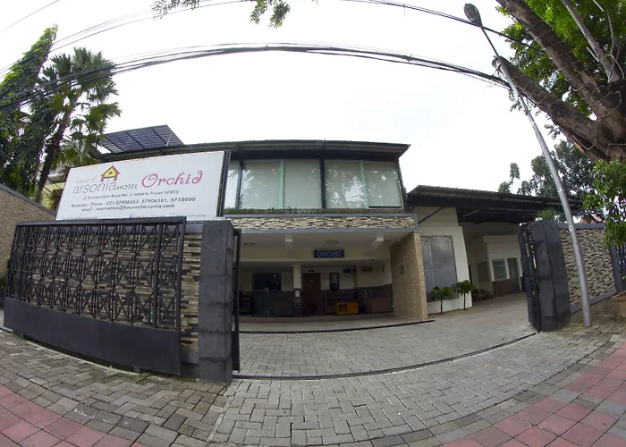 House Of Arsonia Orchid